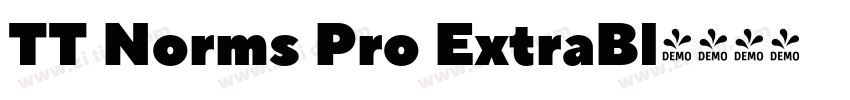 TT Norms Pro ExtraBl字体转换